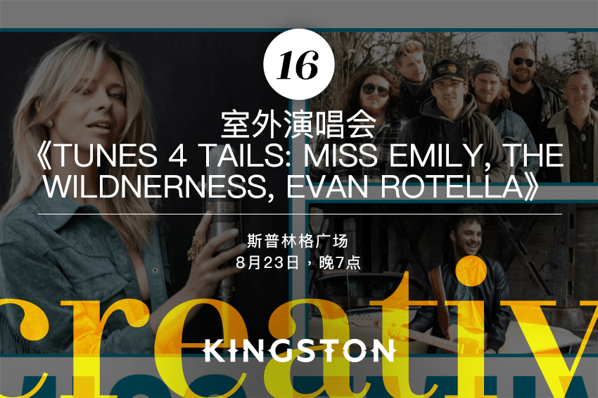 16. 室外演唱会《Tunes 4 Tails: Miss Emily, The Wildnerness, Evan Rotella》
