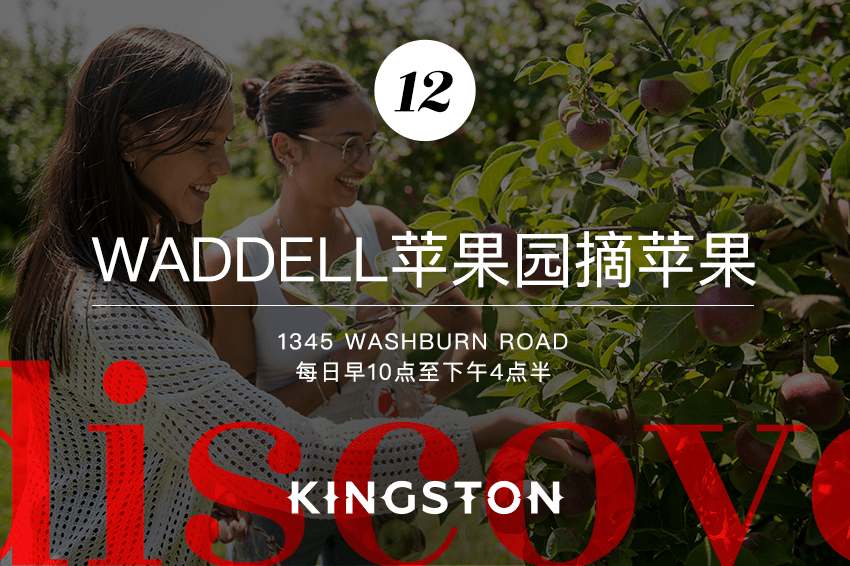 12. Waddell苹果园摘苹果